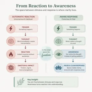 Observing Without Reacting Diagram – Awareness vs Reaction Flow